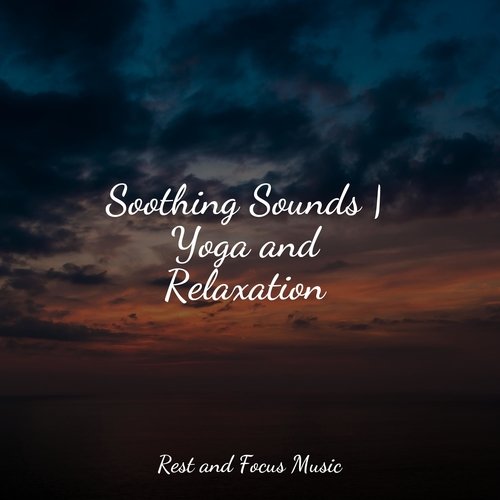 Soothing Sounds | Yoga and Relaxation_poster_image