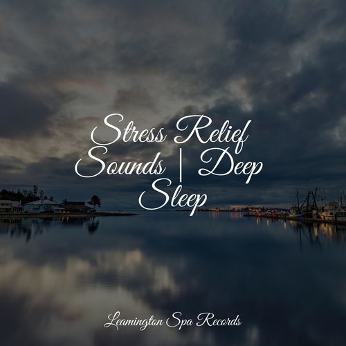 Stress Relief Sounds | Deep Sleep