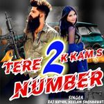 Tere 2 Number K Kaam Hai