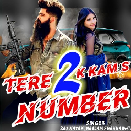 Tere 2 Number K Kaam Hai