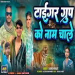 Tiger Group Ko Nam Chale