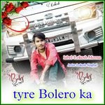 tyre Bolero ka