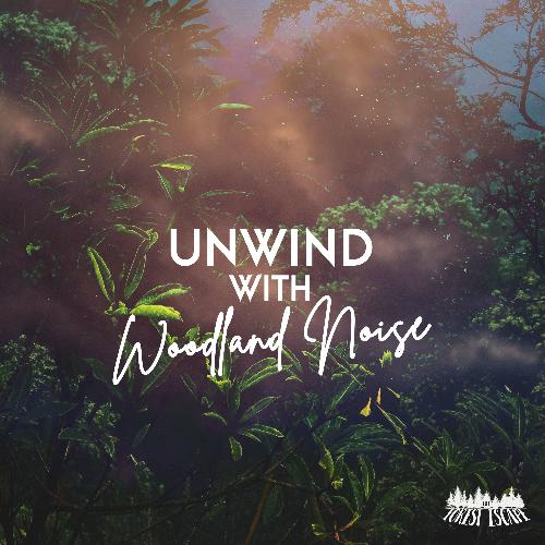 Unwind With Woodland Noise_poster_image