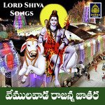 Vemulawada Rajanna Jathara
