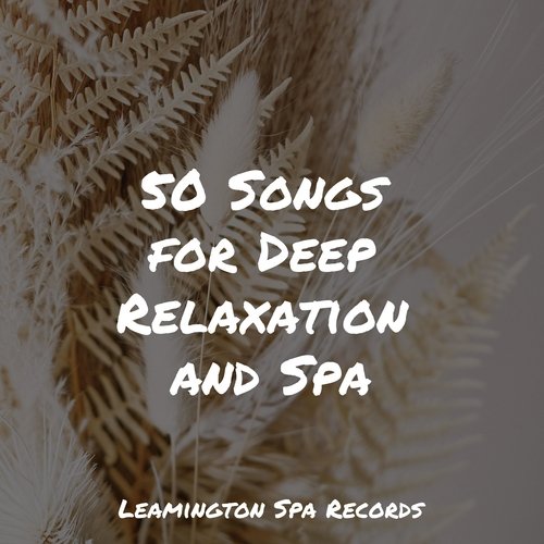 50 Songs for Deep Relaxation and Spa