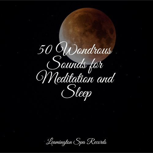 Sleep Music cover art