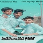 Aadil Parvez akdj yaar (Hindi)