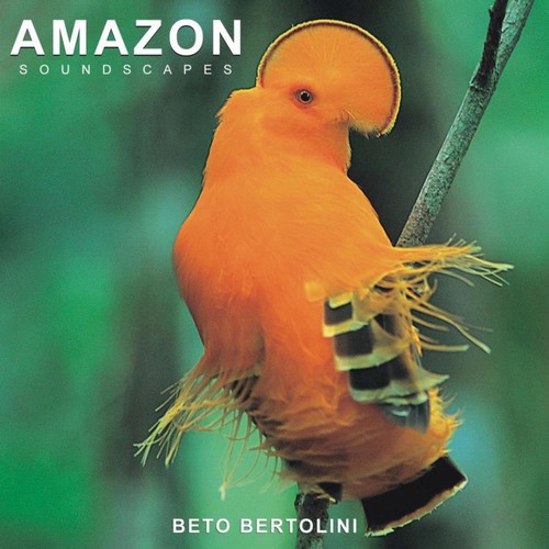 Amazon-33