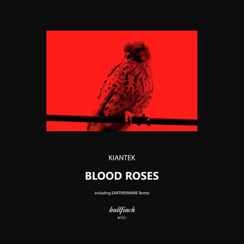 Blood Roses cover art