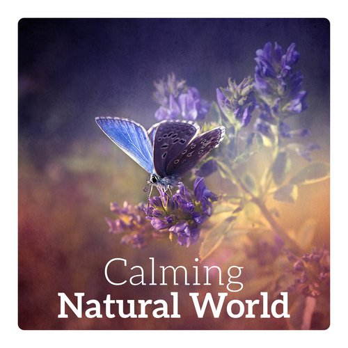 Calming Natural World – Calmness, Restful Break, Relaxing Time, Serene Moments, Happiness & Stress Relief