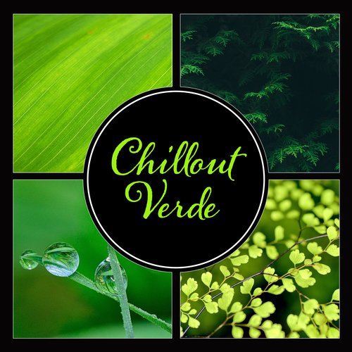 Chillout Verde - Verão Música Natural, Zen, Melhor Contato com os Arredores, Relaxamento, Yoga, Spa e Bem-Estar