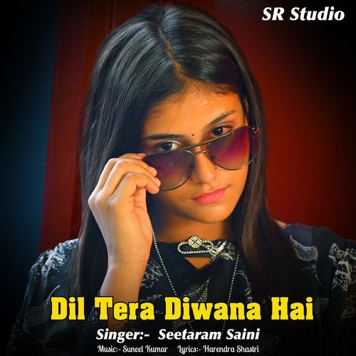 Dil Tera Diwana Hai