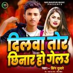 Dilwa Tor Chhinar Ho Gelou