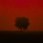 Experience (Ambient)