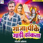 Ganja Pike Gadi Hakata