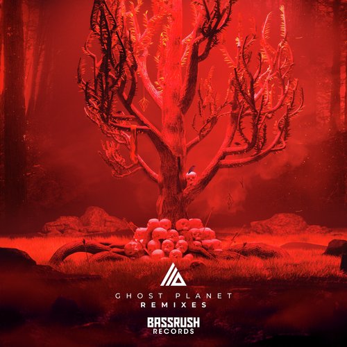 Shelter (Bro Safari & BINKS Remix) cover art