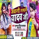 Jawani Nasale Yadav Ji