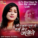 Jo Tu Bhul Gaya To Hum Mar Jayenge (Lofi)