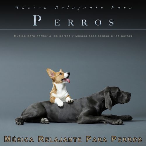 Música para dormir a los perros cover art