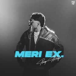 MERI EX