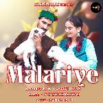 Malariye