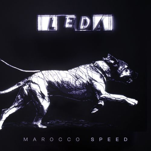 Tu mi bruci (feat. Paolo Benvegnù) cover art
