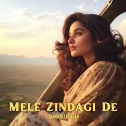 Mele Zindagi De-CQdfZkFWenQ