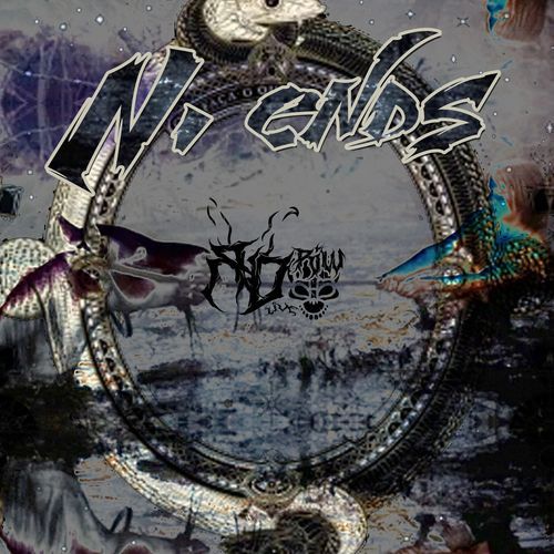 N. ends cover art