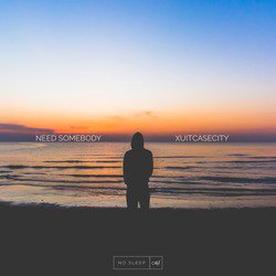 Need Somebody (Remix)