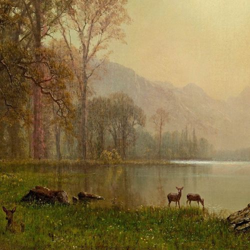 Lake shimmers cover art