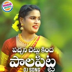 Pachani Chettu Kinda Palapitta (DJ Song)