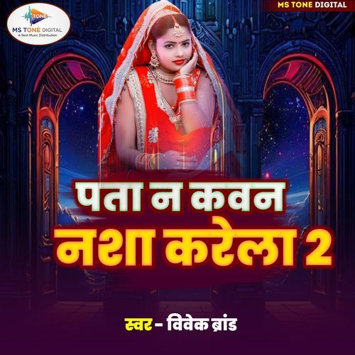 Pata Na Kawan Nasha Karela 2