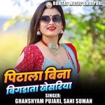 Pitala Bina Bigarata Khesariya