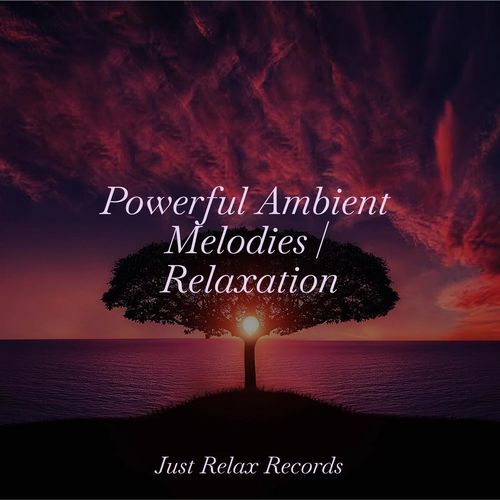 Powerful Ambient Melodies | Relaxation_poster_image