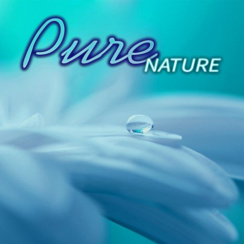 Pure Nature - Healing Sounds of Nature for Realaxation, Oceans, Rain, Rivers and Waterfalls, Massage Music, Wellness Spa