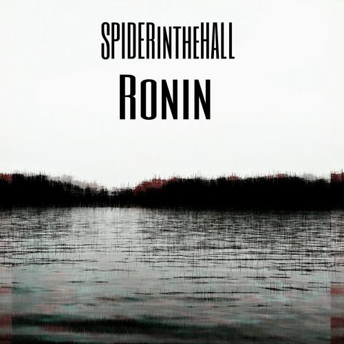 Ronin (Hydra Instrumental) (Remixed by The Hydra) cover art