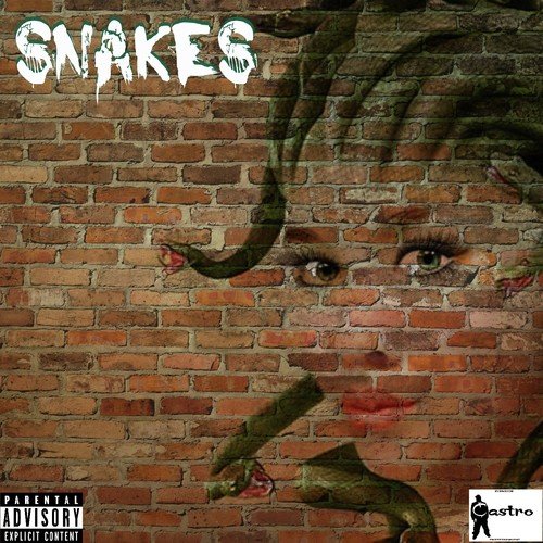 Snakes (feat. Nucklez Castro & Jay Rocc) - Single