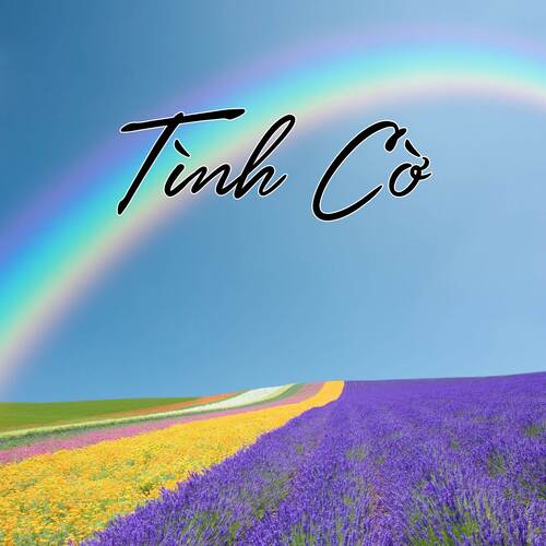 Tình Cờ