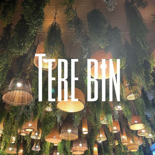 Tere bin