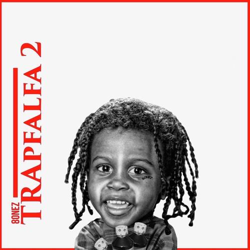 Trapfalfa 2