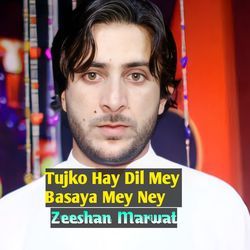 Tujko Hay Dil Mey Basaya Mey Ney-NhIYXT9YYXg