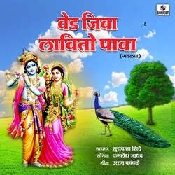 Ved Jiva Lavito Pava