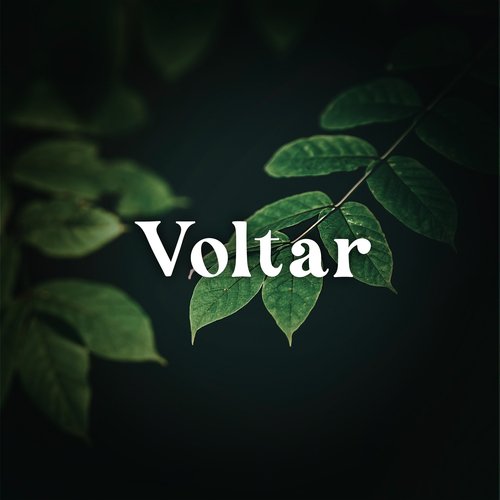 Voltar