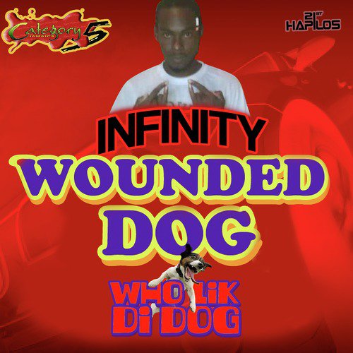 Infinity (Wounded Dog)
