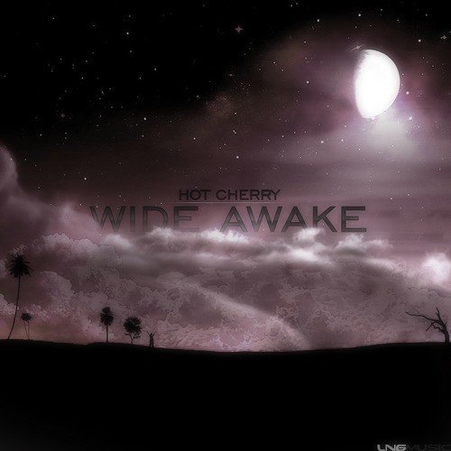 Wide Awake (Studio-X Remix)