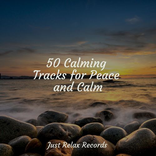 50 Calming Tracks for Peace and Calm