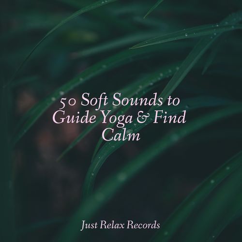 50 Soft Sounds to Guide Yoga & Find Calm