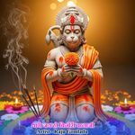 थारी जय हो बिनोरी बालाजी