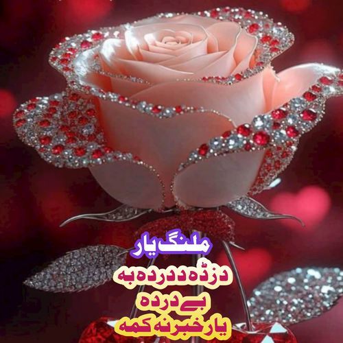 Be Darda Yaar
