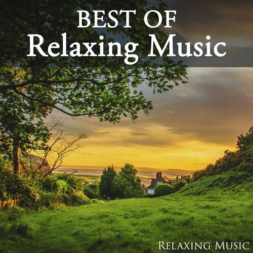 Best of Relaxing Music_poster_image